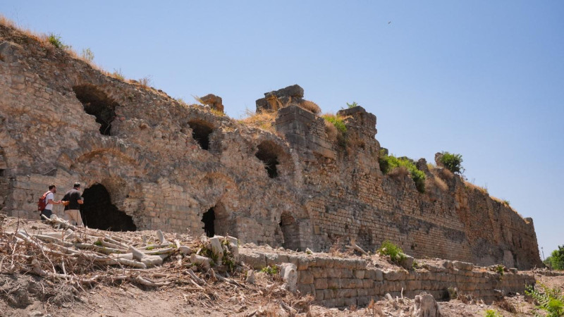 Efes Antik Kenti'nin Koressos Kapısı gün yüzüne çıkarılacak  