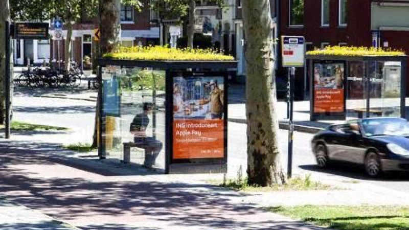 Berlin’de Arı Otobüs Durağı Projesi Başladı