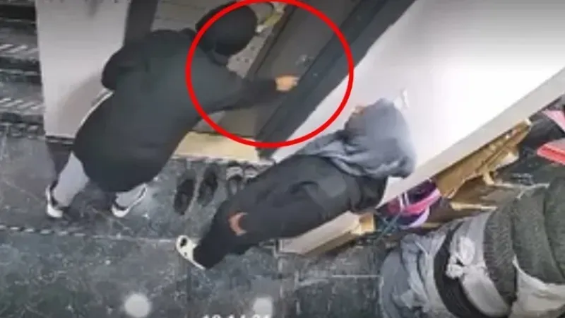 Apartmanda tuhaf olay: Ayakkabıyı kokladı.