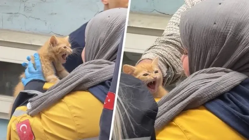 Yangında evde mahsur kalan yavru kedi kurtarıldı.
